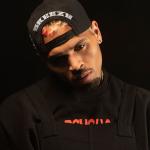 artist image Chris Brown To My Bed Heartbreak on a Full Moon