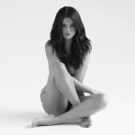 album image Hands To Myself Revival (Deluxe)