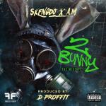 album image Macaroni 2 Bunny the Mixtape