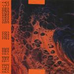 album image Never Surrender Face the Fire