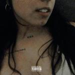 album image in the dark In the Dark - Single